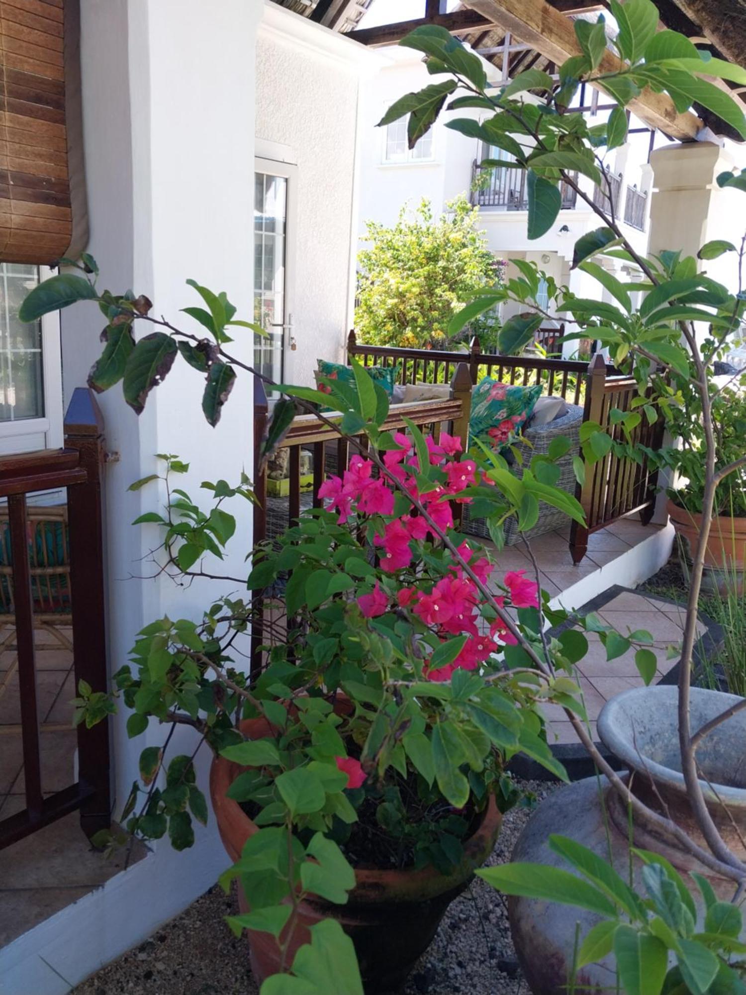 מאהבורג Chillpill Guest House מראה חיצוני תמונה